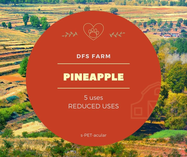 DFS Pineapple (5)