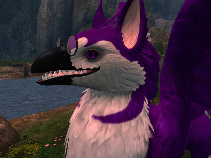 NM's Junk & Stuff Purple Husky Griff