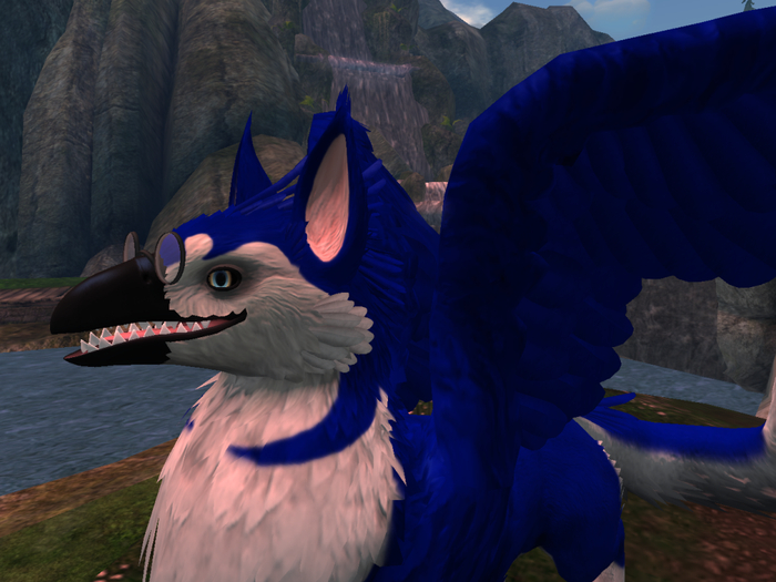 NM's Junk & Stuff Blue Husky Griff