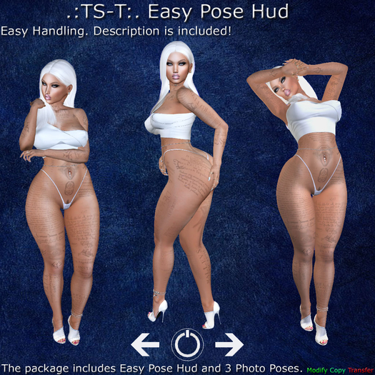 .:TS-T:. Easy Pose Hud