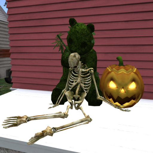 Resting on Panda Skeleton