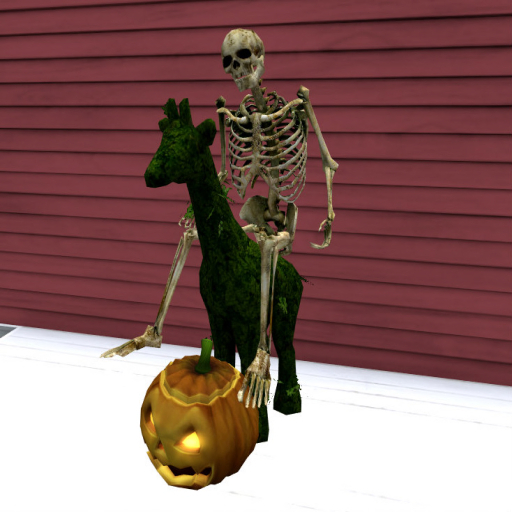 Giraffe Ridding Skeleton