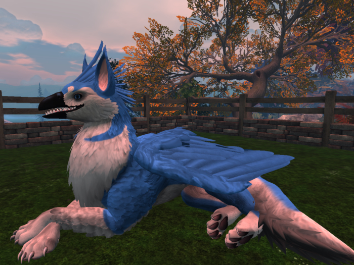 NM's Junk & Stuff Light Blue Husky Griff