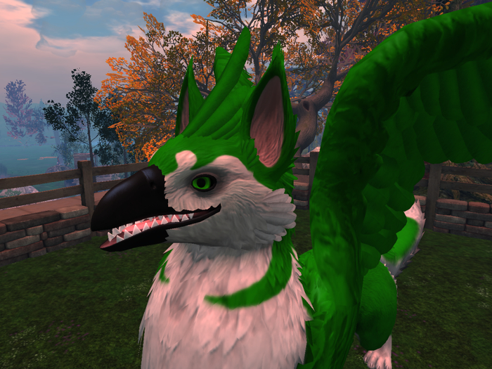 NM's Junk & Stuff Green Husky Griff