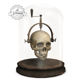 .random.Matter. - Paint It Black - Skull Jar