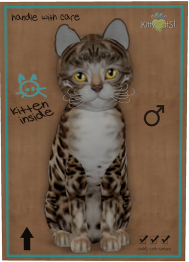 KittyCatS Box - Bengal - Tawny