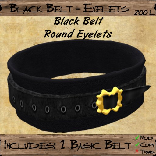 Black Belt - Round Eyelets