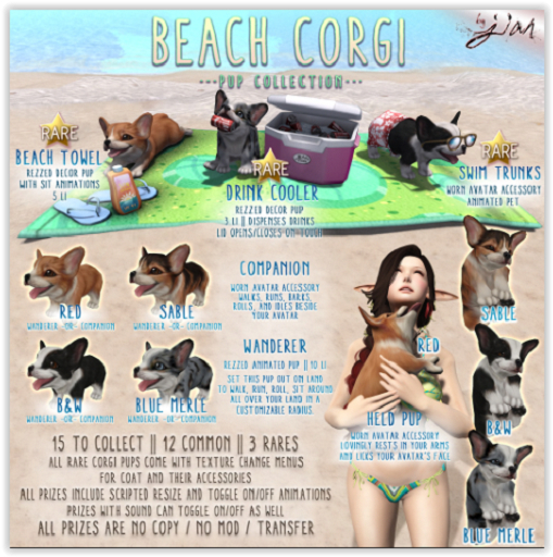 JIAN Beach Corgis BOX :: Swim Trunks RARE 1