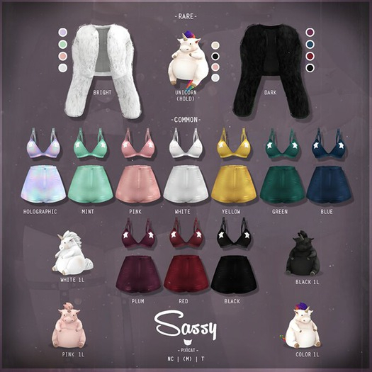 pixicat sassy FULL SET FATPACK + All RARES (MAITREYA)
