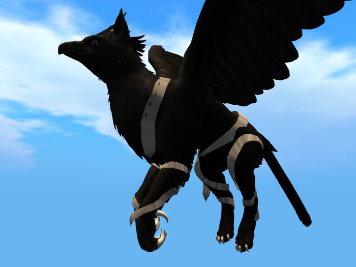 Griffin body ribbons (+sizes update)