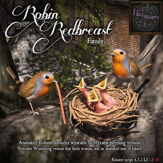 *HEXtraordinary* Robin Redbreast Family 1.3