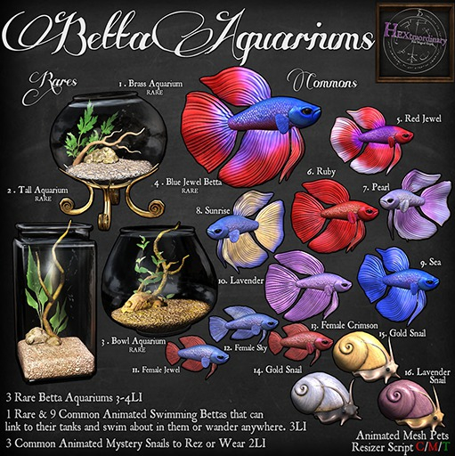 6. *HEXtraordinary* Male Betta - Ruby