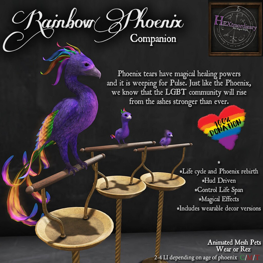 *HEXtraordinary* Rainbow Phoenix Boxed