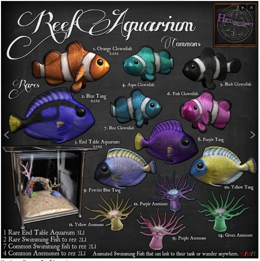 3. *HEXtraordinary* End Table Aquarium - RARE