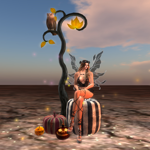 ^*^Enchanted  Halloween Pumpkins