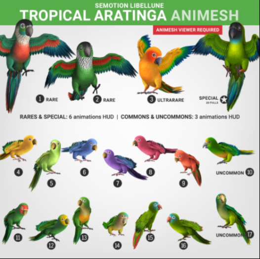 SEmotion Libellune Tropical Aratinga Animesh #17 UNCOMMON