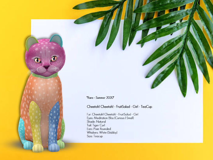 KittyCatS Box - Cheetah! Cheetah! - FruitSalad - Girl - TeaCup