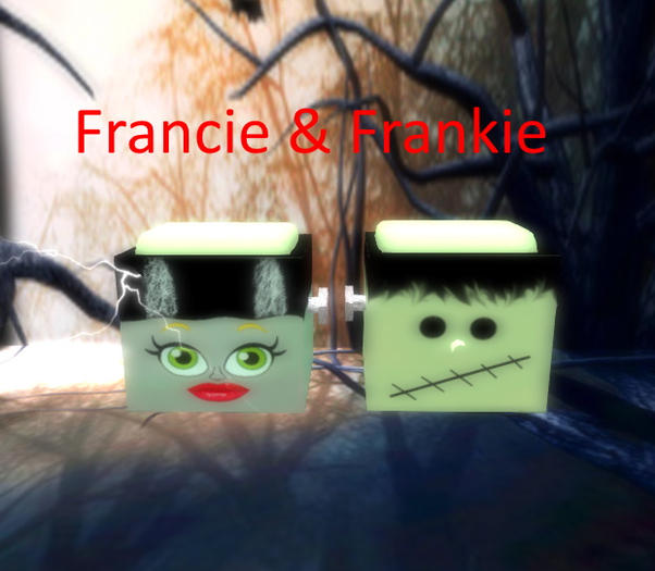 SSD Frankie & Francie Display Box V