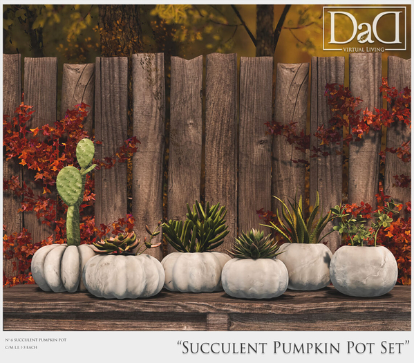 Succulent Pumpkin pots - FATPACK