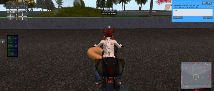 RS HUD