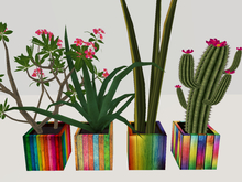 [AE] Garden Store - Rainbow Pride Planter Set of 4
