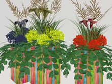 [AE] Garden Store - Pretty Pride Planter  Bundle  Salmon