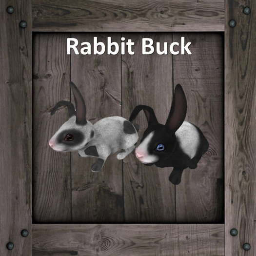 DFS Rabbit Buck (Texture)