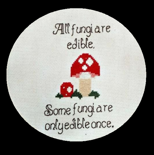 Fungi Needlework Texture