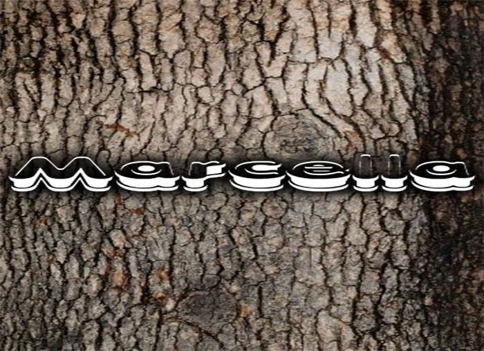 Wood texture 45