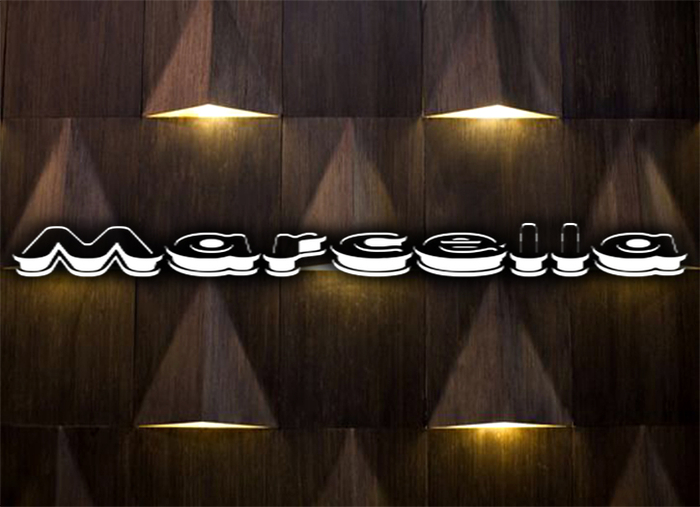Illuminated wood