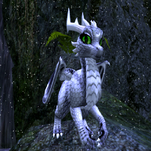 NM's Junk & Stuff Silver Moon Dragon