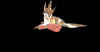 Snapshot 057