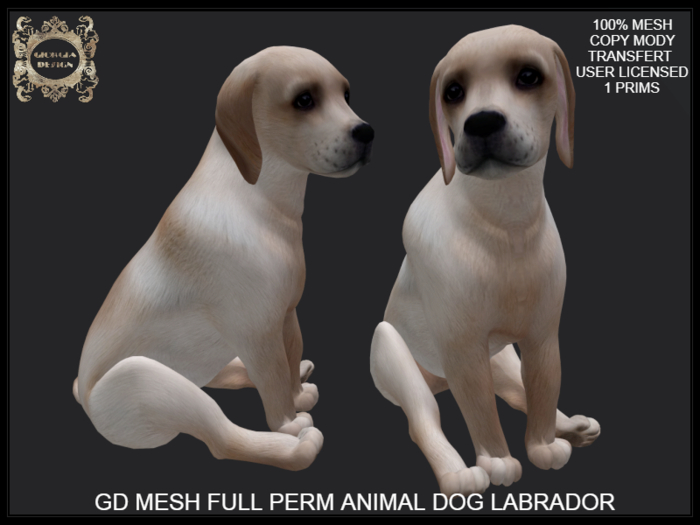 GD MESH FULL PERM ANIMAL DOG LABRADOR