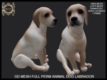 GD MESH FULL PERM ANIMAL DOG LABRADOR