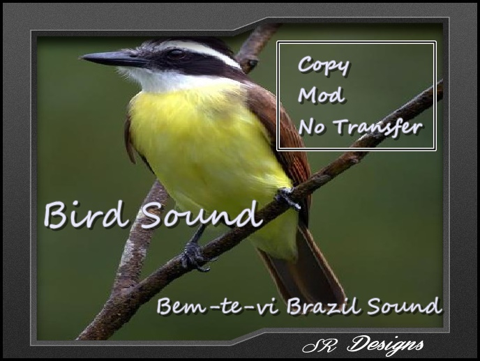 Bird Sound ( Bem-te-vi )/COPY