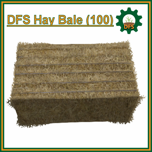 DFS Hay Bale (100) (Texture)