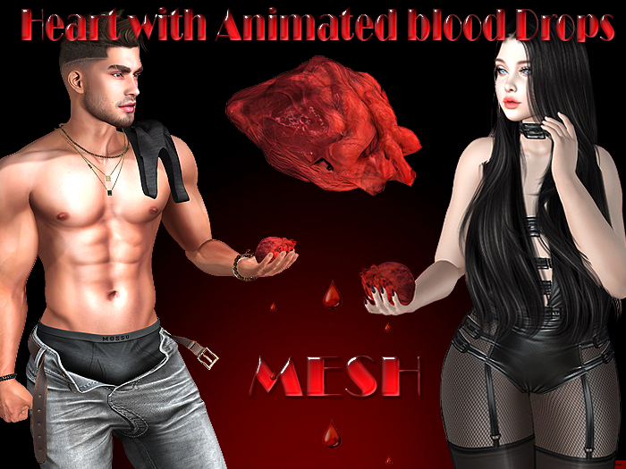 InStyl -Mesh Animated heart with blood dripping on the floor .Hold in hand- Promo action Sale until 01.11