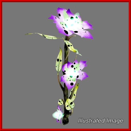 {Papillon} Bl/Sma/Str/Ali/+ Plant