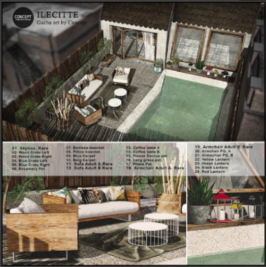 CONCEPT} *16. ILECITTE. LONG GRASS POT
