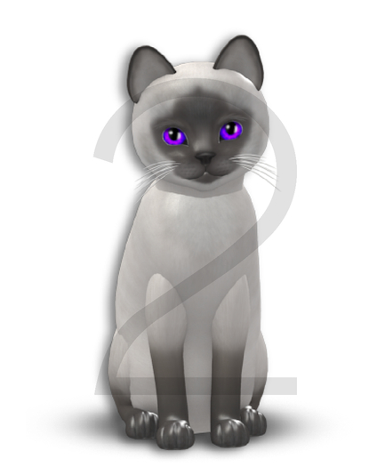KittyCatS Box - 5T-M Siamese Blue - Teacup