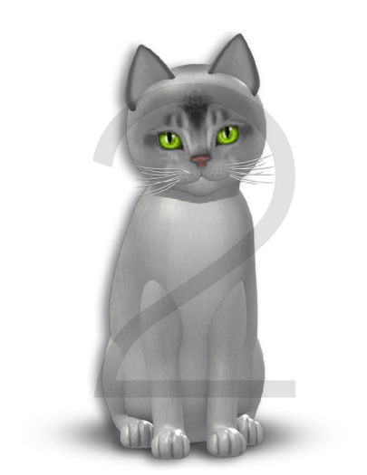 KittyCatS Box - 9T-F Aby Black Silver - Normal - Illume/Curious