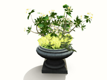 [AE} Garden Store - Stone Urn Planter Liverpool