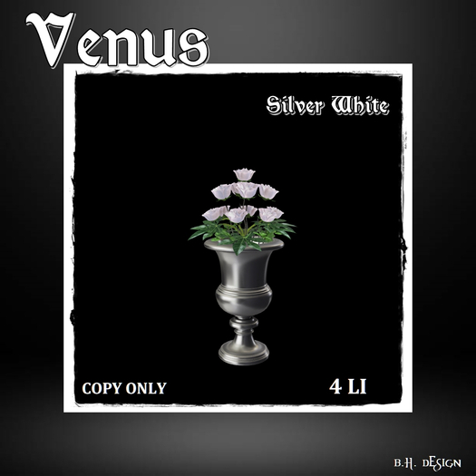 BHD Venus Siver White