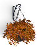 HANGING BASKET  autumn (BOX)