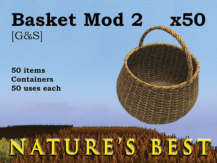 Basket Mod 2 x50 [G&S]