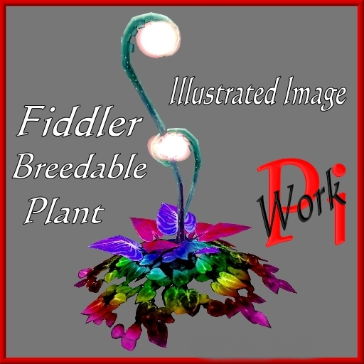 {Papillon} Di/Sma/Sof/Fid/+ Plant