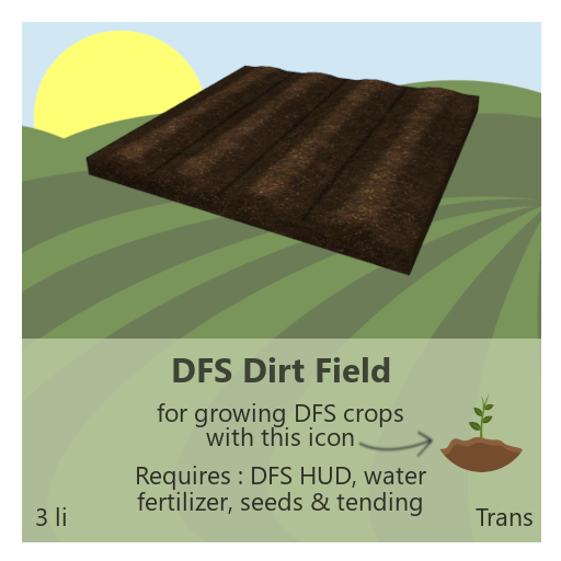 DFS Dirt Field