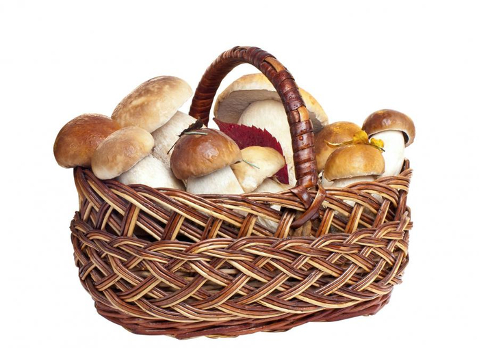 DFS Mushroom Basket 