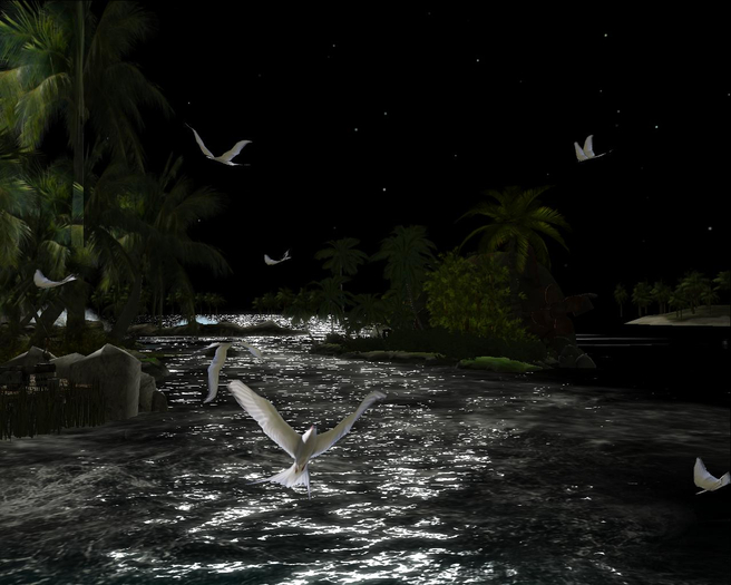 Night Fly