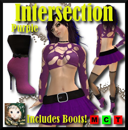 /Tammy Sue\ Intersection - Purple